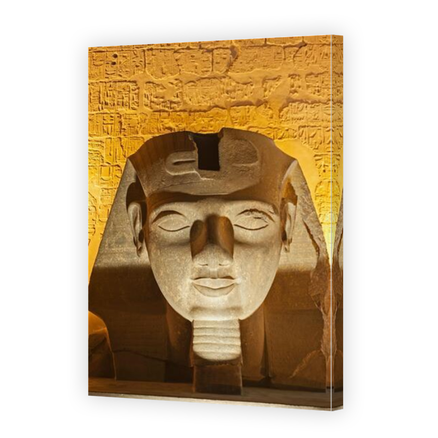 Thumbnail for Canvas - Mirror Image Canvas Wrap