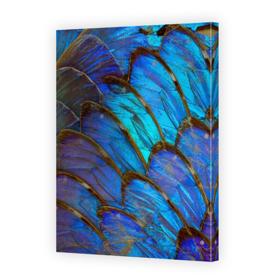 Thumbnail for Canvas - Mirror Image Canvas Wrap