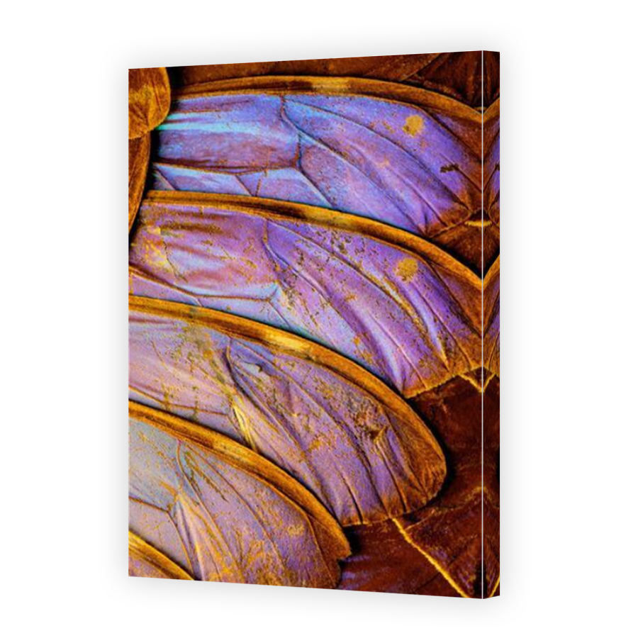 Thumbnail for Canvas - Mirror Image Canvas Wrap