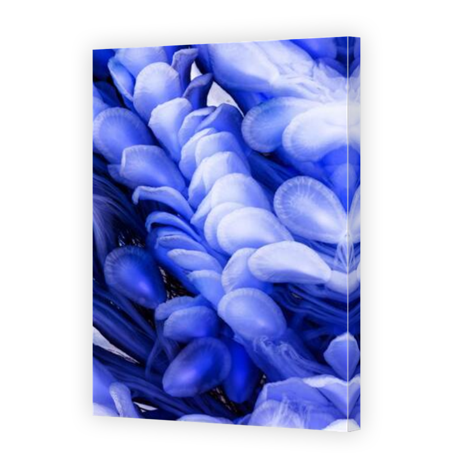 Thumbnail for Canvas - Mirror Image Canvas Wrap