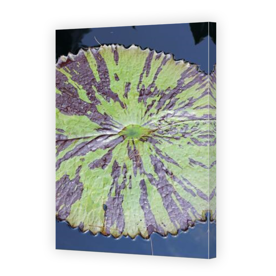 Thumbnail for Canvas - Mirror Image Canvas Wrap