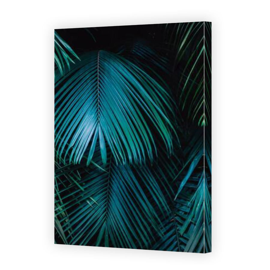 Thumbnail for Canvas - Mirror Image Canvas Wrap