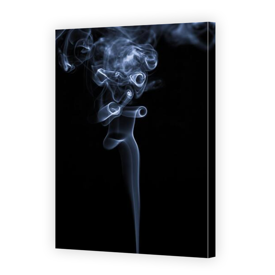 Thumbnail for Canvas - Mirror Image Canvas Wrap