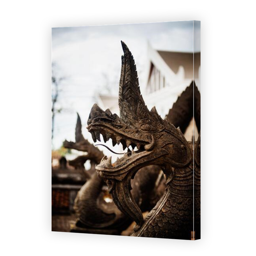 Thumbnail for Canvas - Mirror Image Canvas Wrap
