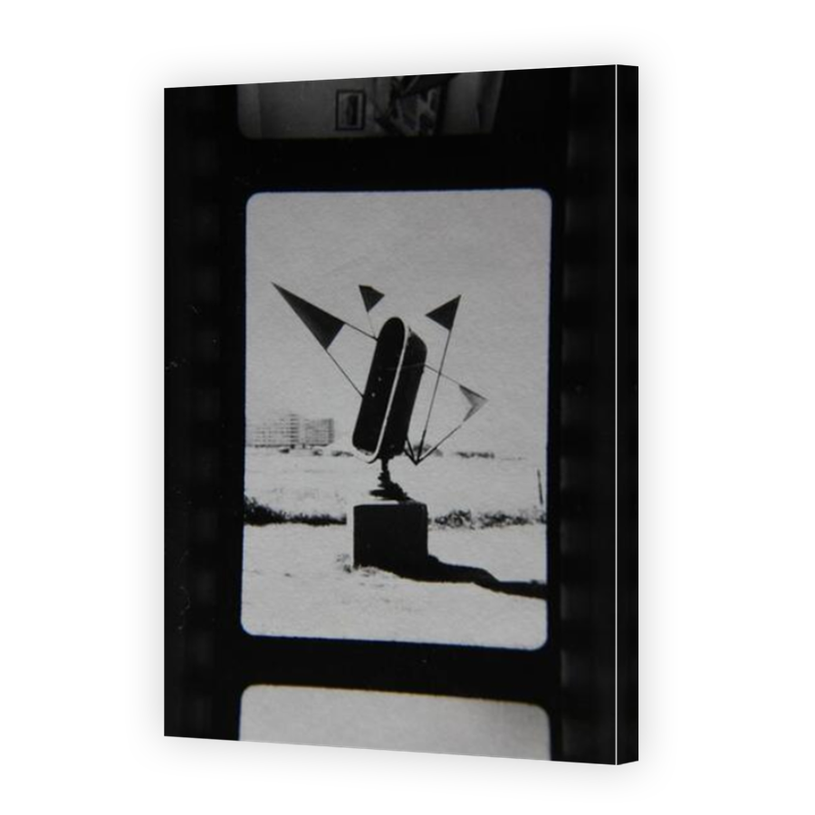 Thumbnail for Canvas - Mirror Image Canvas Wrap