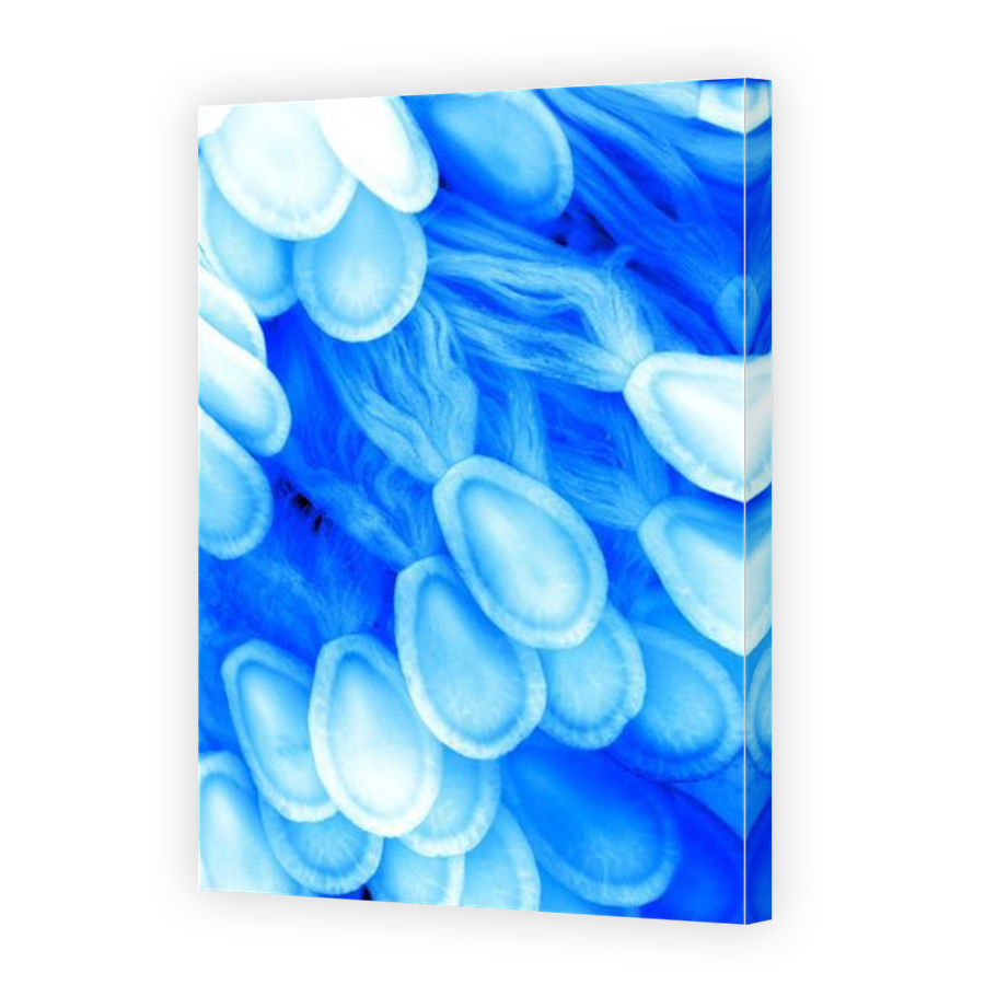 Thumbnail for Canvas - Mirror Image Canvas Wrap
