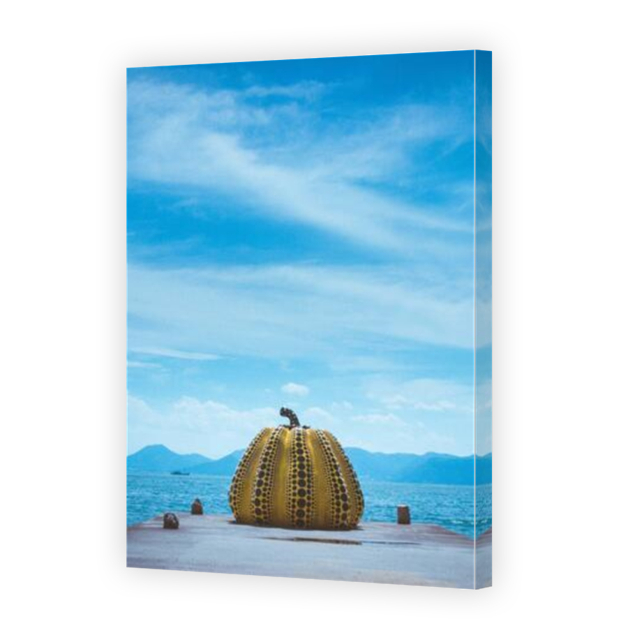 Thumbnail for Canvas - Mirror Image Canvas Wrap