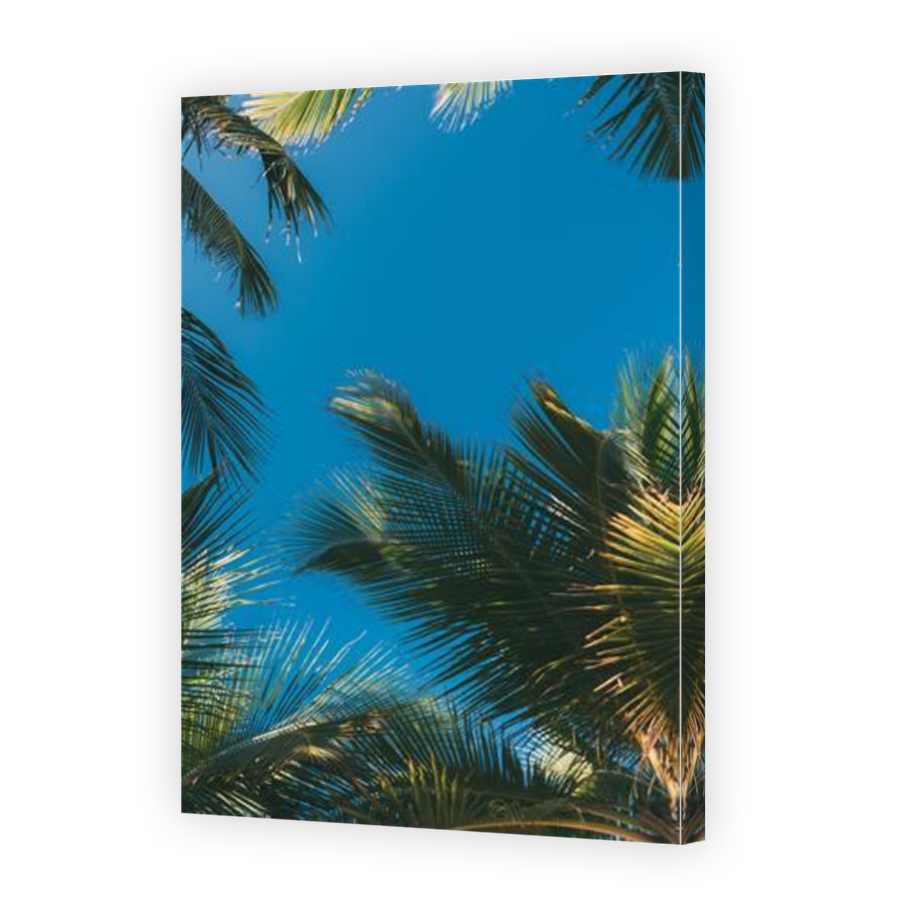 Thumbnail for Canvas - Mirror Image Canvas Wrap