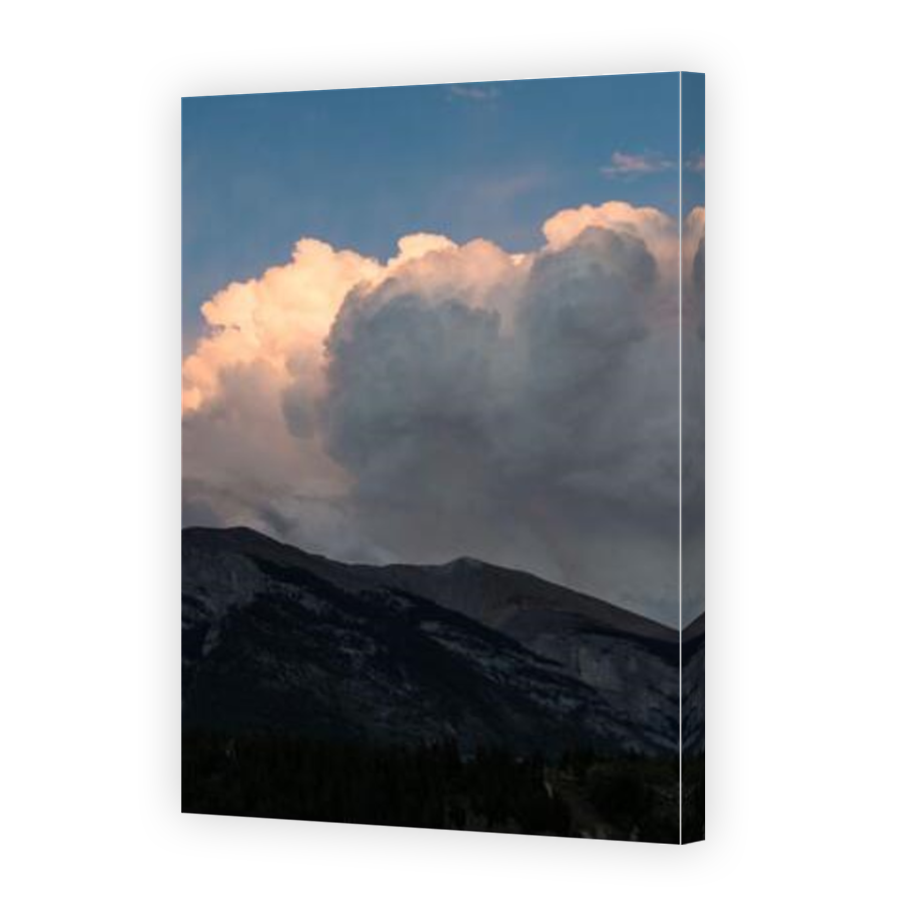 Thumbnail for Canvas - Mirror Image Canvas Wrap