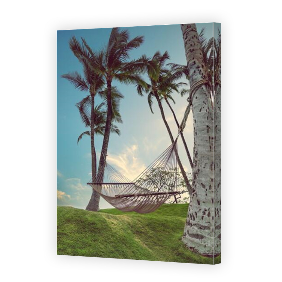 Thumbnail for Canvas - Mirror Image Canvas Wrap