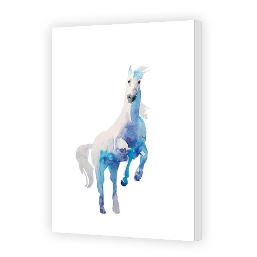 Thumbnail for Canvas - Mirror Image Canvas Wrap