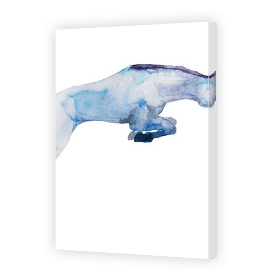 Thumbnail for Canvas - Mirror Image Canvas Wrap