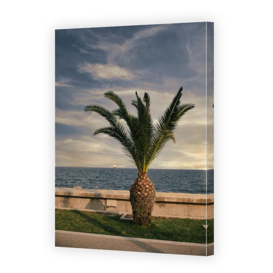 Thumbnail for Canvas - Mirror Image Canvas Wrap