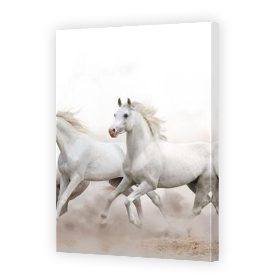 Thumbnail for Canvas - Mirror Image Canvas Wrap