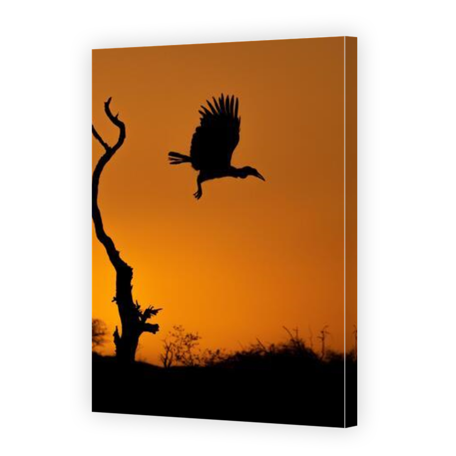 Thumbnail for Canvas - Mirror Image Canvas Wrap