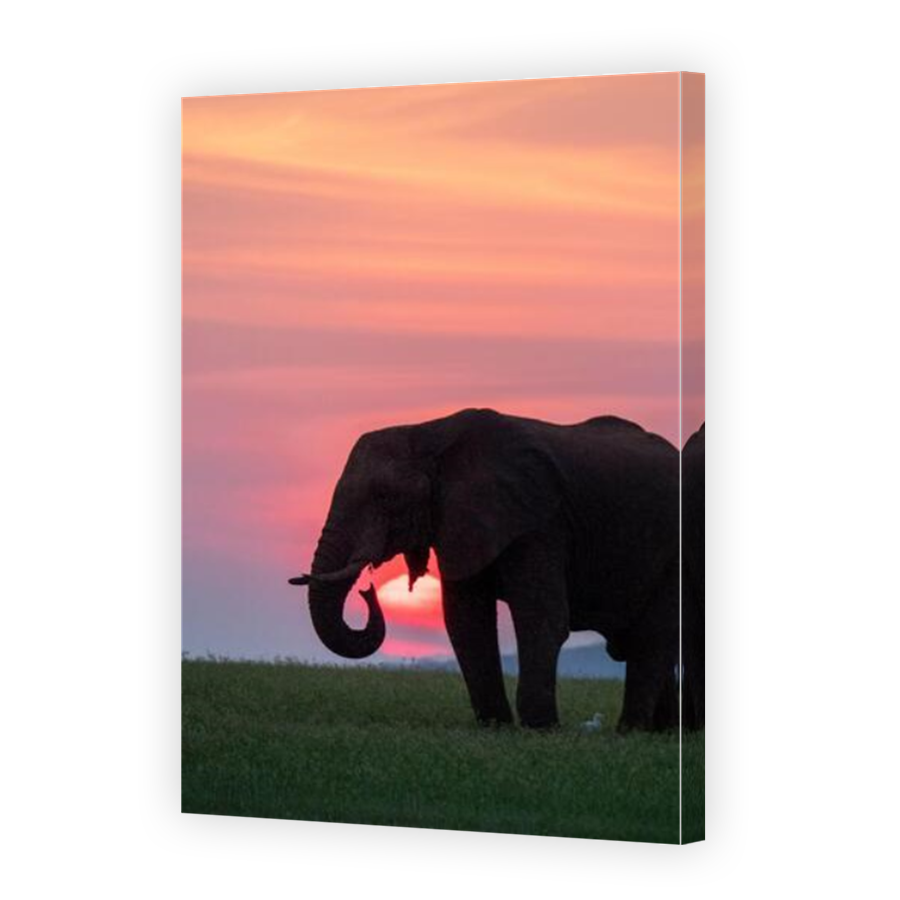 Thumbnail for Canvas - Mirror Image Canvas Wrap