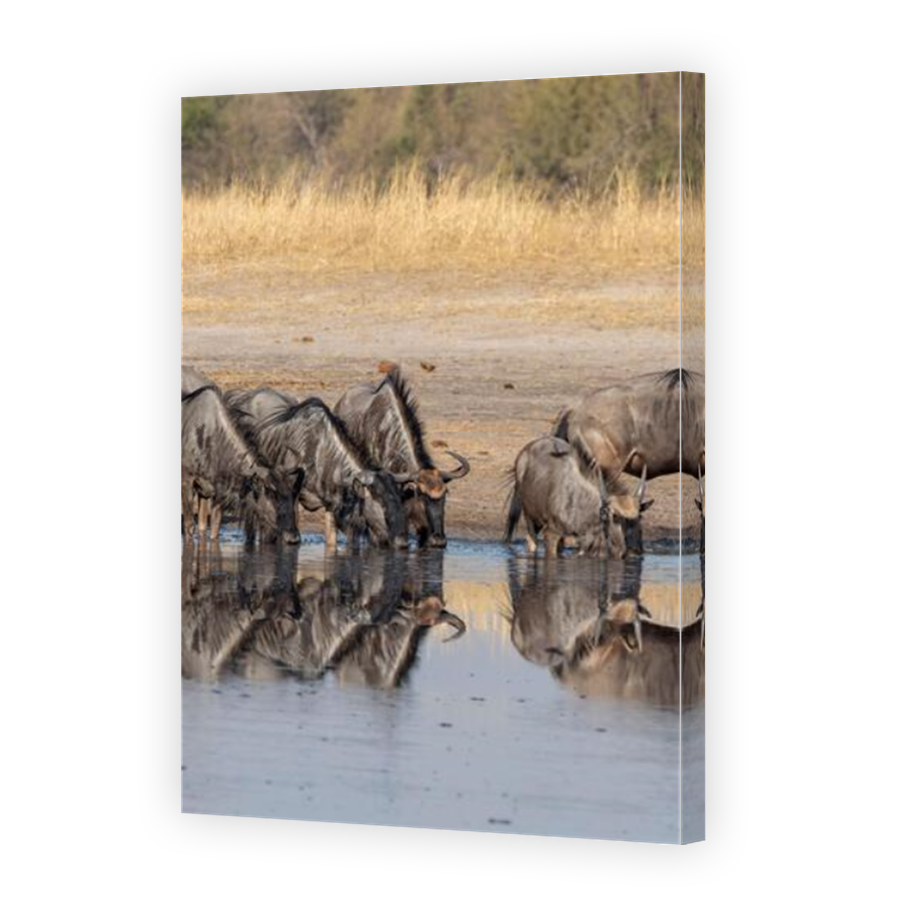 Thumbnail for Canvas - Mirror Image Canvas Wrap