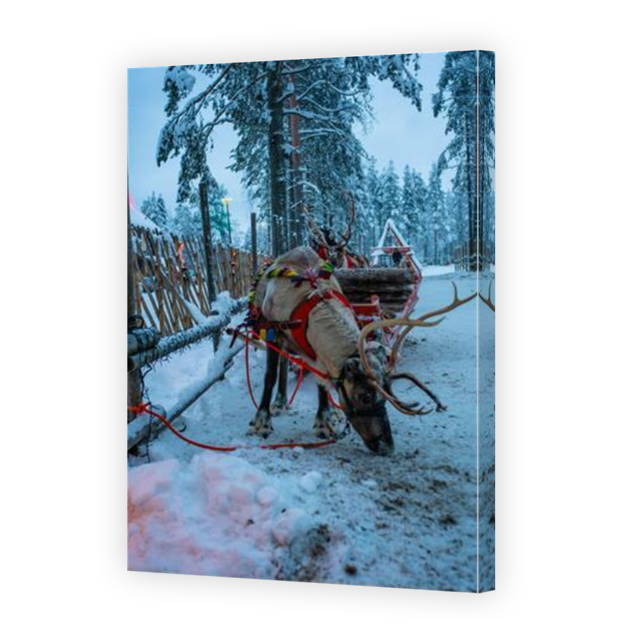 Thumbnail for Canvas - Mirror Image Canvas Wrap
