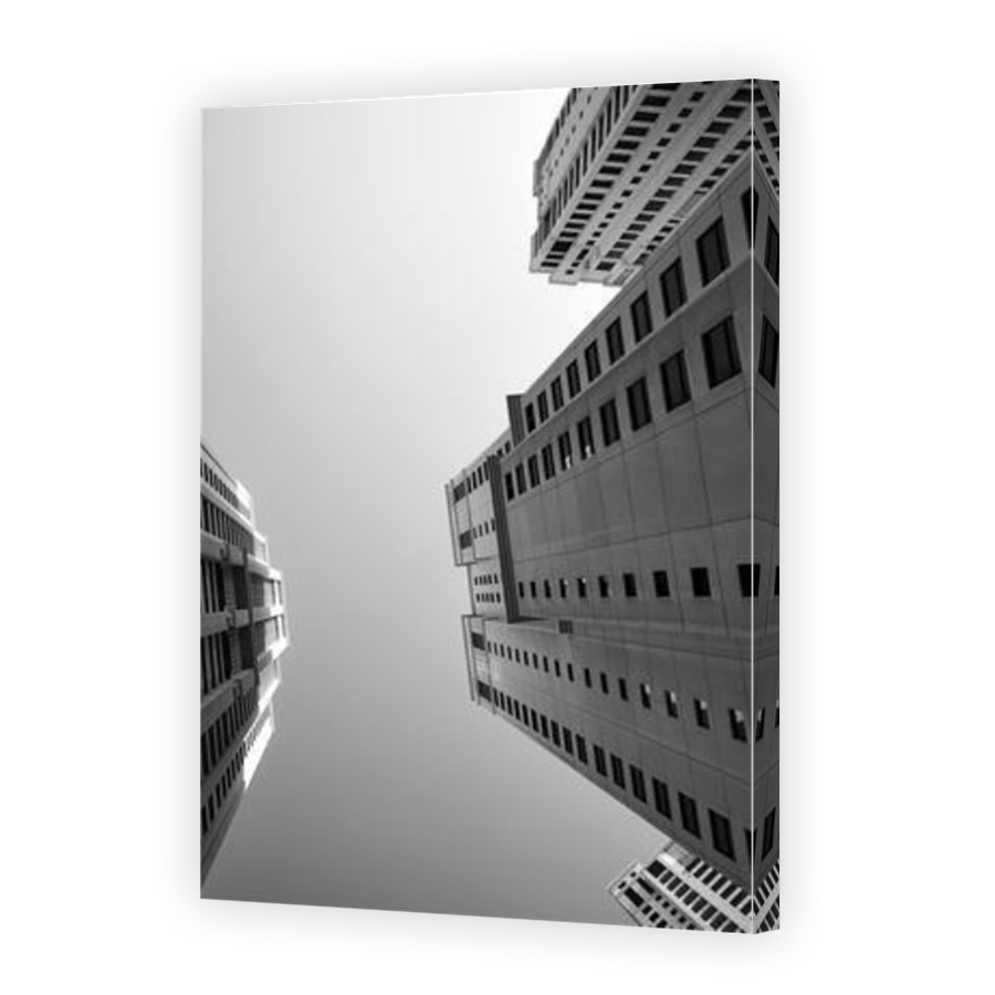 Thumbnail for Canvas - Mirror Image Canvas Wrap