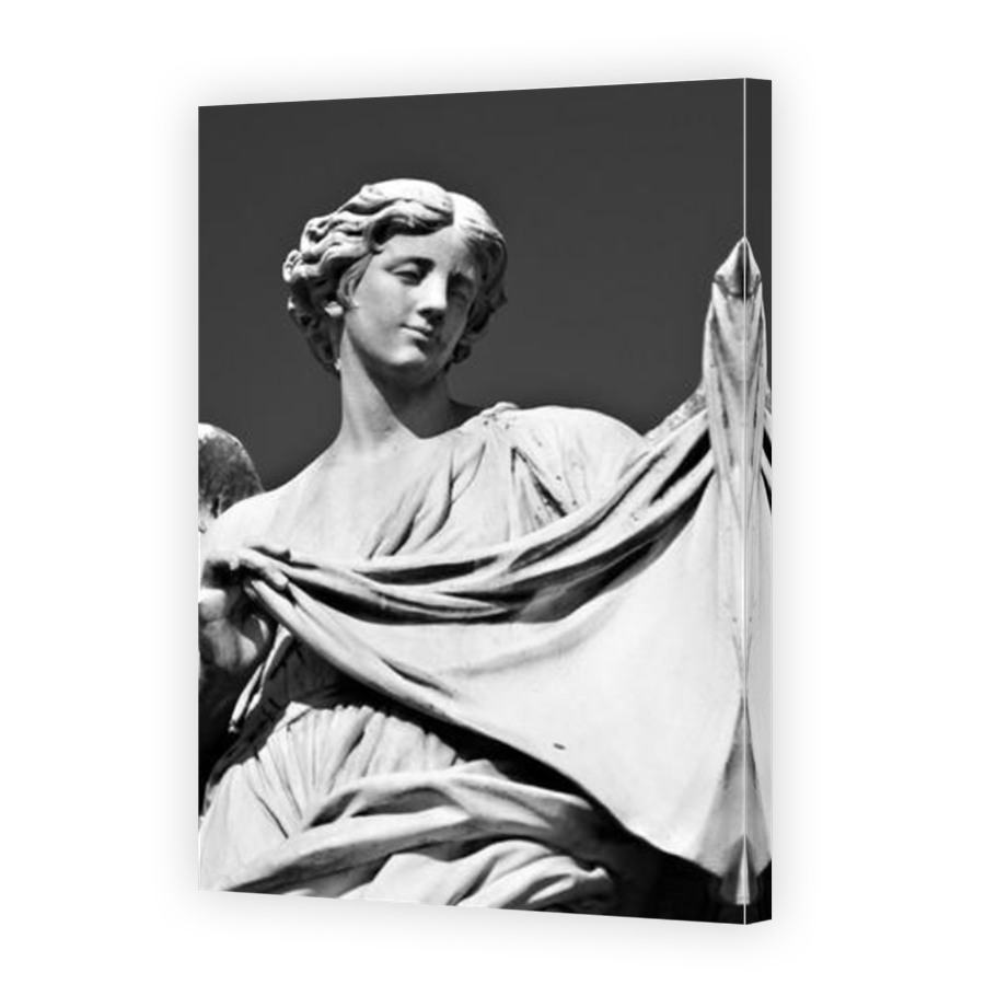 Thumbnail for Canvas - Mirror Image Canvas Wrap
