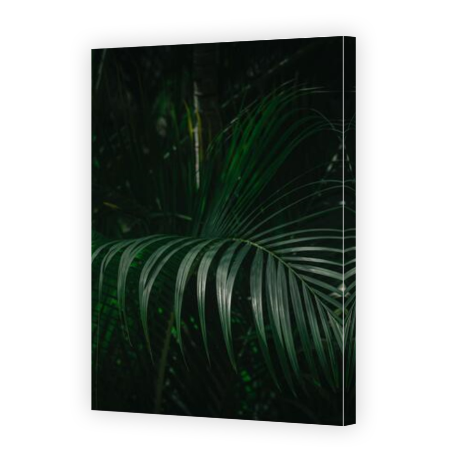 Thumbnail for Canvas - Mirror Image Canvas Wrap