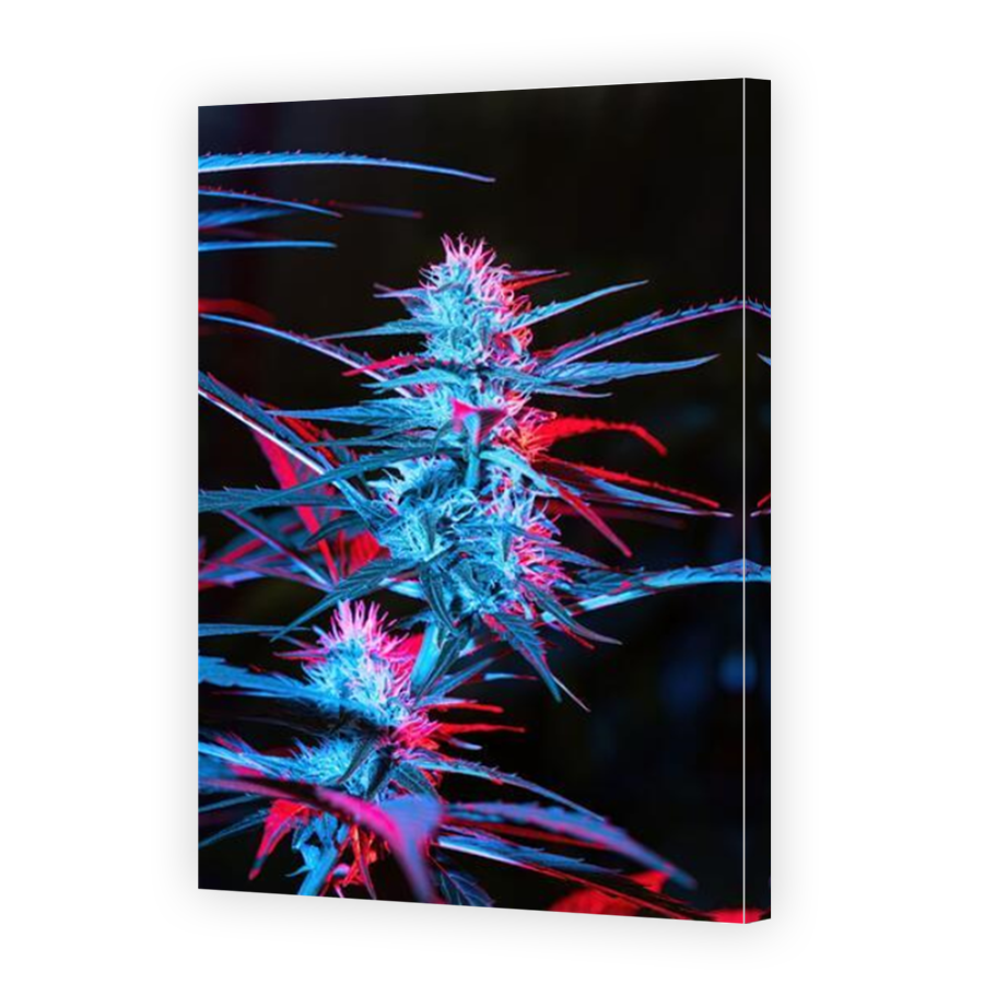 Thumbnail for Canvas - Mirror Image Canvas Wrap