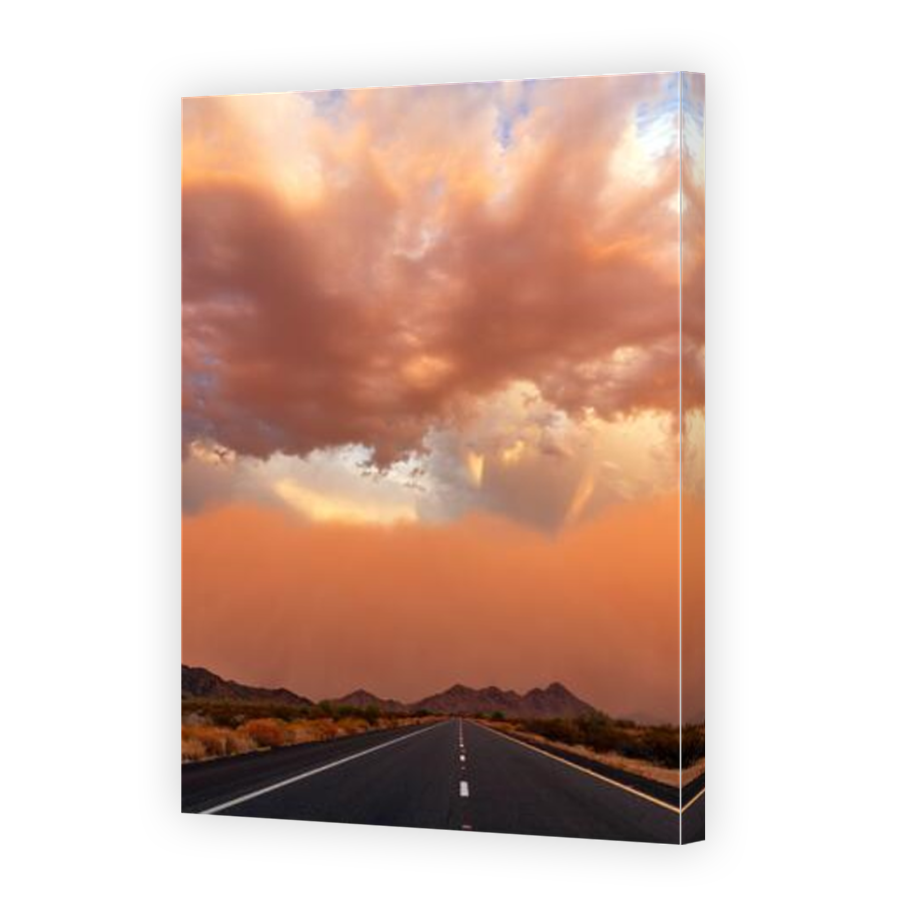 Thumbnail for Canvas - Mirror Image Canvas Wrap