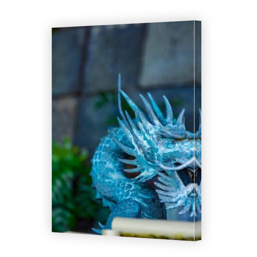 Thumbnail for Canvas - Mirror Image Canvas Wrap