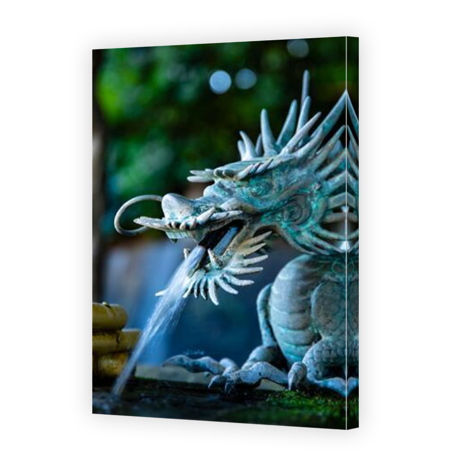Thumbnail for Canvas - Mirror Image Canvas Wrap