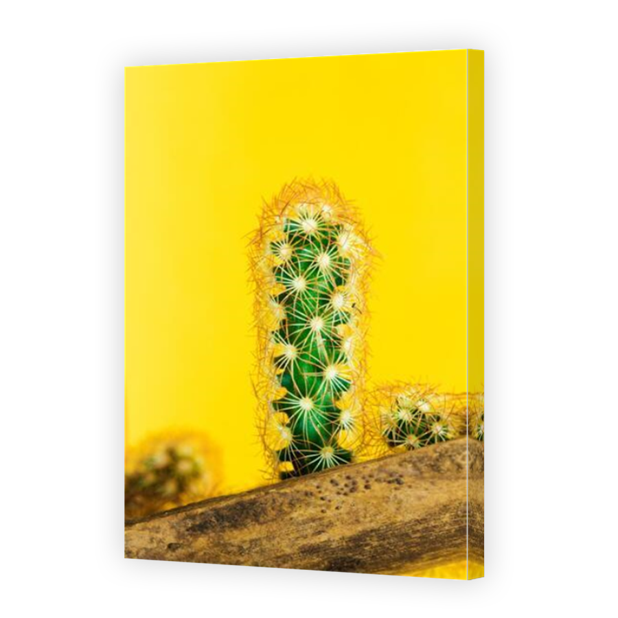 Thumbnail for Canvas - Mirror Image Canvas Wrap