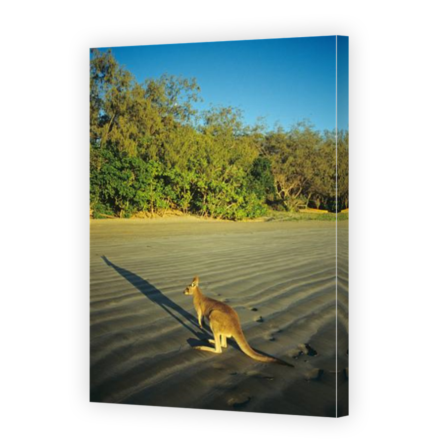 Thumbnail for Canvas - Mirror Image Canvas Wrap