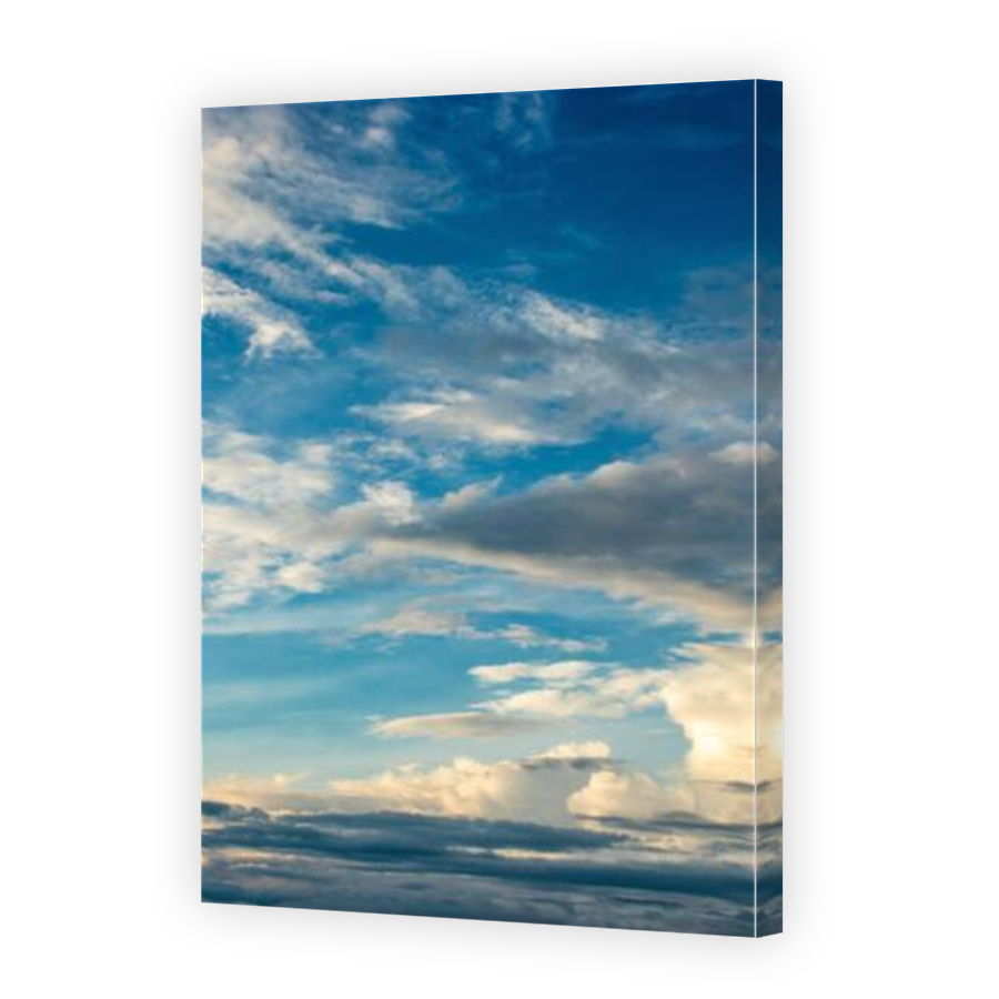 Thumbnail for Canvas - Mirror Image Canvas Wrap