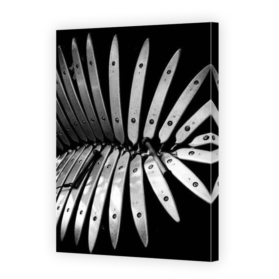 Thumbnail for Canvas - Mirror Image Canvas Wrap