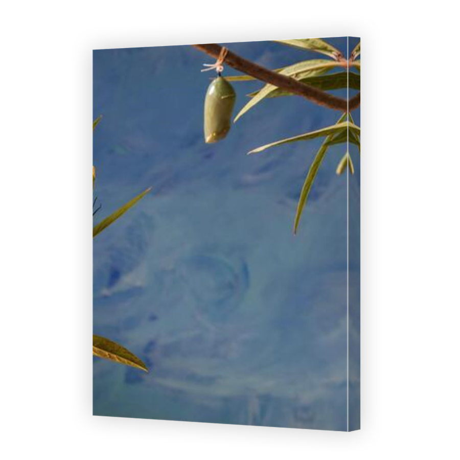 Thumbnail for Canvas - Mirror Image Canvas Wrap