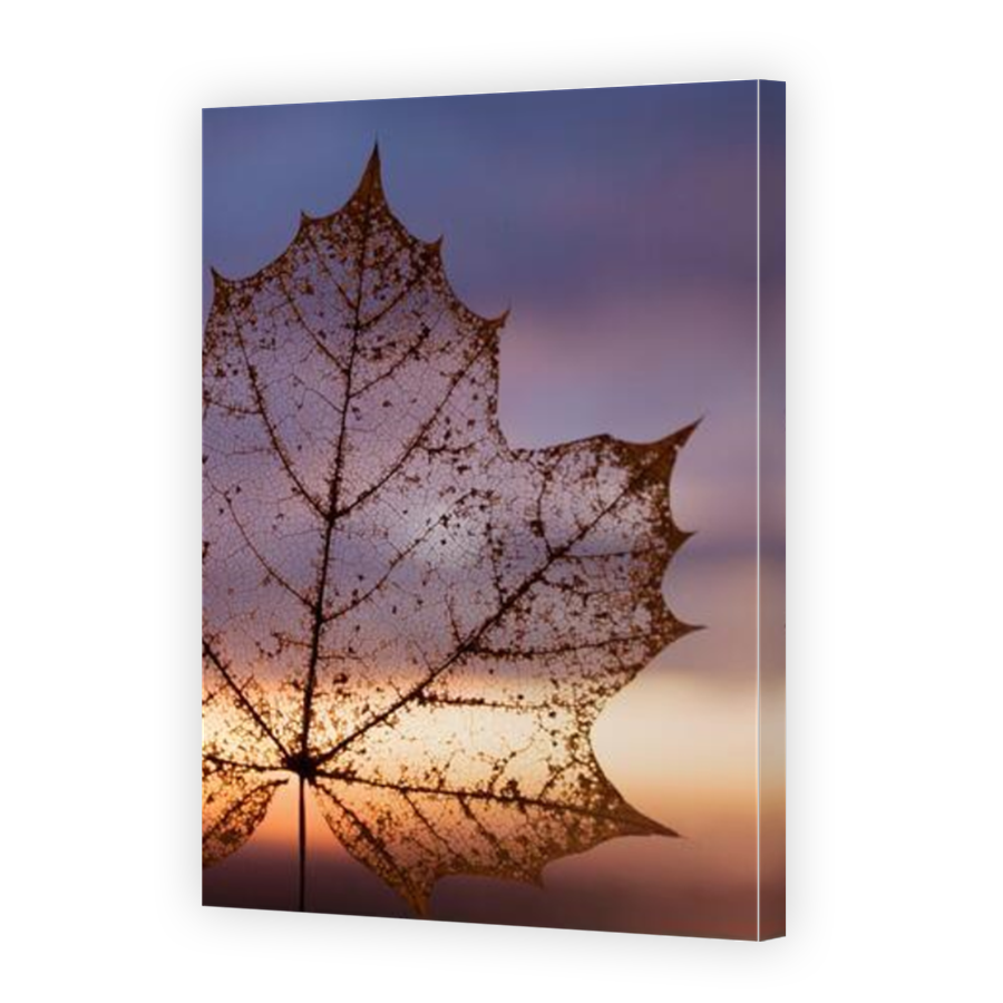 Thumbnail for Canvas - Mirror Image Canvas Wrap