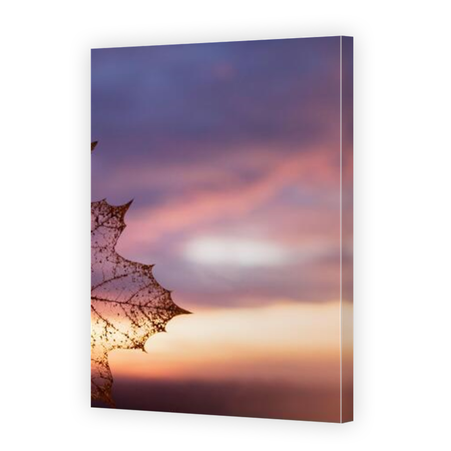 Thumbnail for Canvas - Mirror Image Canvas Wrap