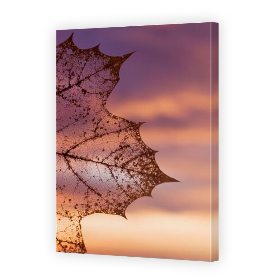 Thumbnail for Canvas - Mirror Image Canvas Wrap