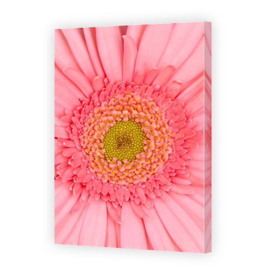 Thumbnail for Canvas - Mirror Image Canvas Wrap