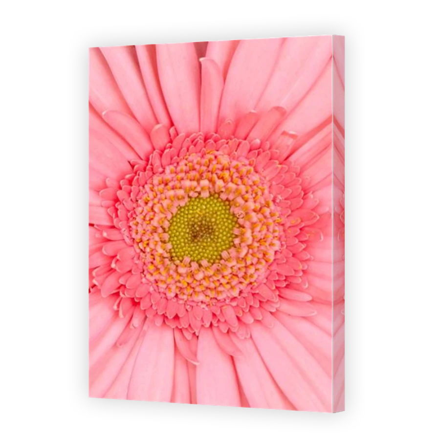 Thumbnail for Canvas - Mirror Image Canvas Wrap