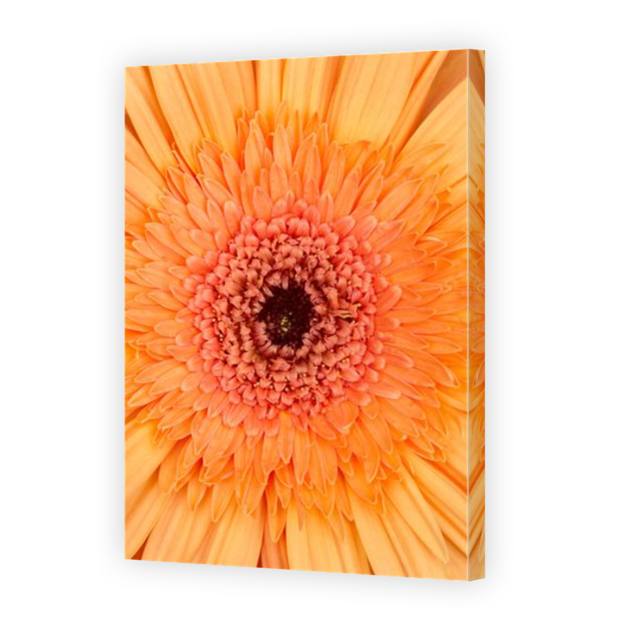 Thumbnail for Canvas - Mirror Image Canvas Wrap