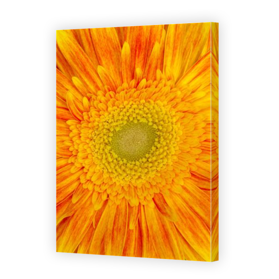 Thumbnail for Canvas - Mirror Image Canvas Wrap