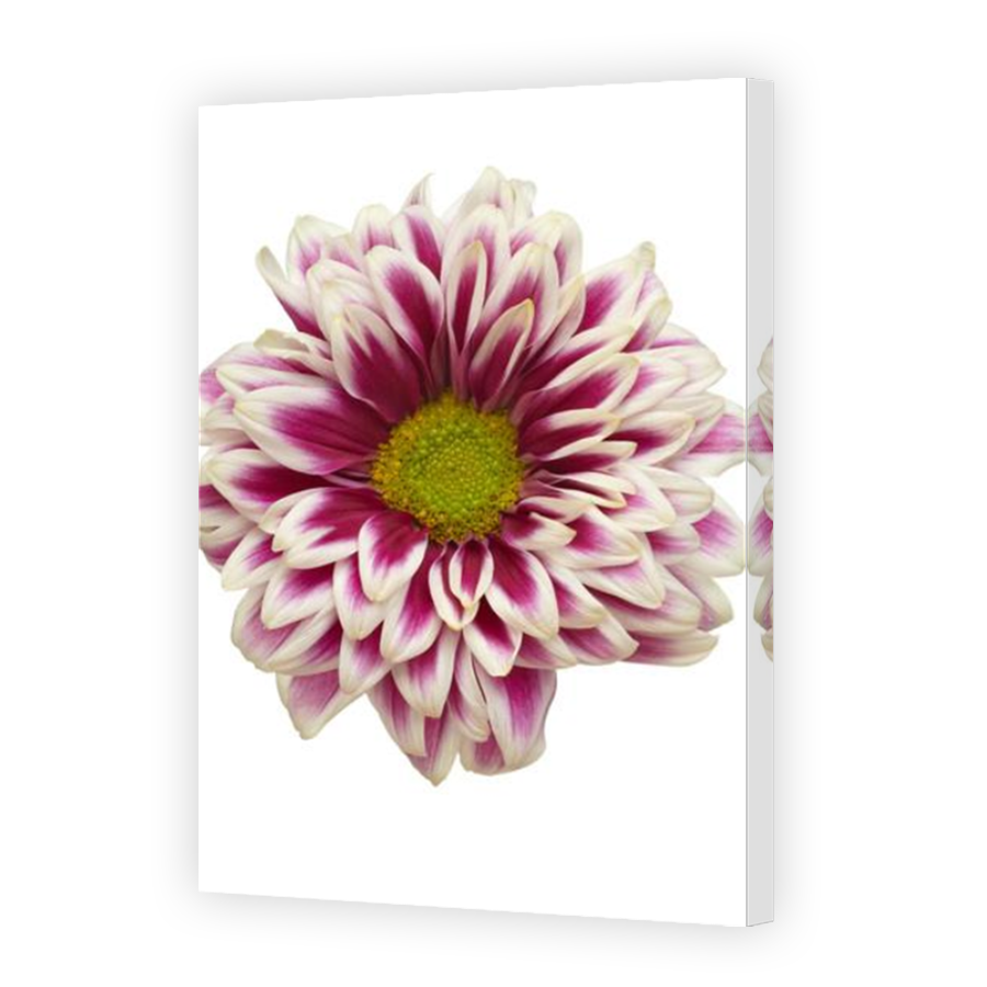 Thumbnail for Canvas - Mirror Image Canvas Wrap