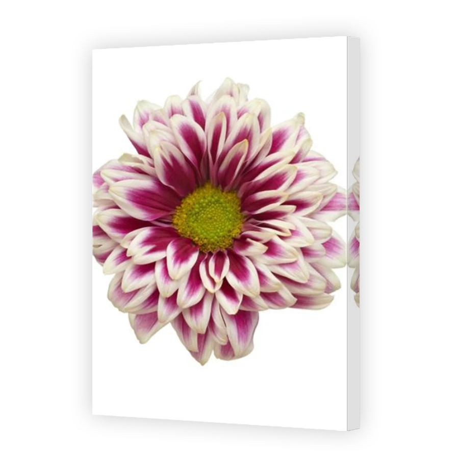Thumbnail for Canvas - Mirror Image Canvas Wrap