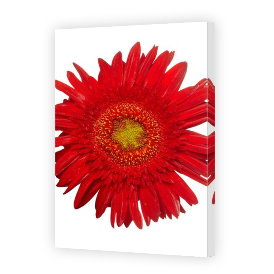 Thumbnail for Canvas - Mirror Image Canvas Wrap