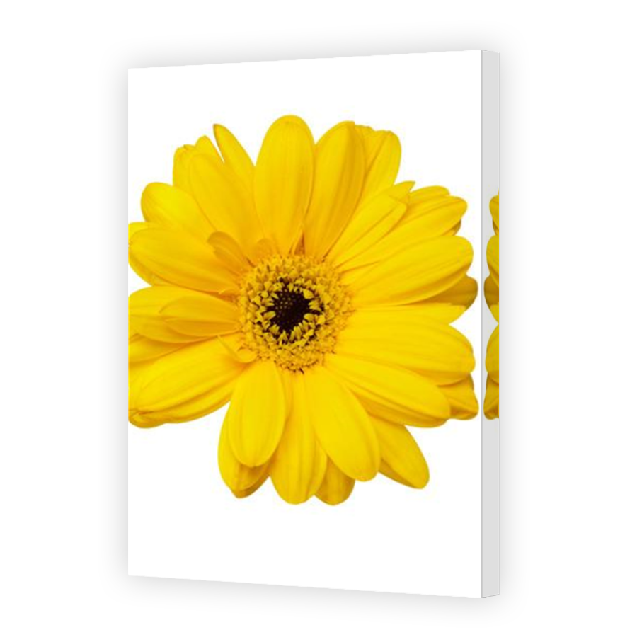 Thumbnail for Canvas - Mirror Image Canvas Wrap