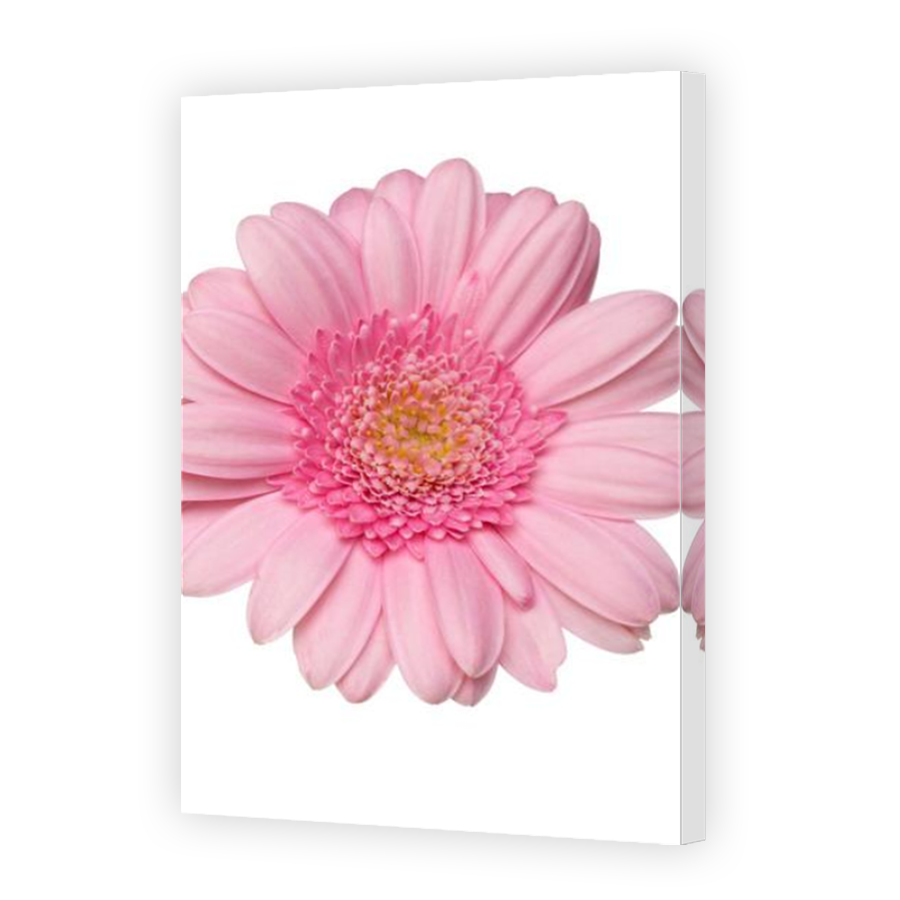 Thumbnail for Canvas - Mirror Image Canvas Wrap