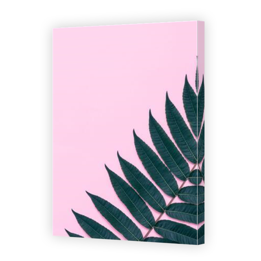 Thumbnail for Canvas - Mirror Image Canvas Wrap