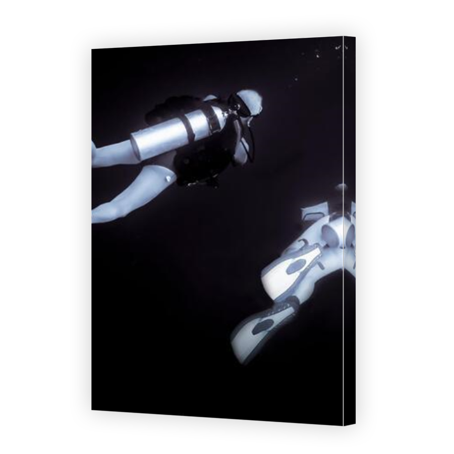Thumbnail for Canvas - Mirror Image Canvas Wrap