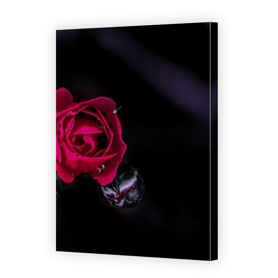 Thumbnail for Canvas - Mirror Image Canvas Wrap