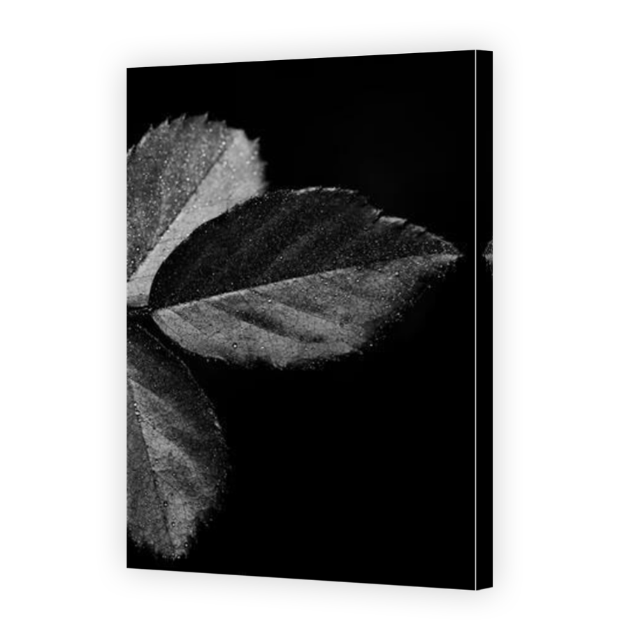 Thumbnail for Canvas - Mirror Image Canvas Wrap